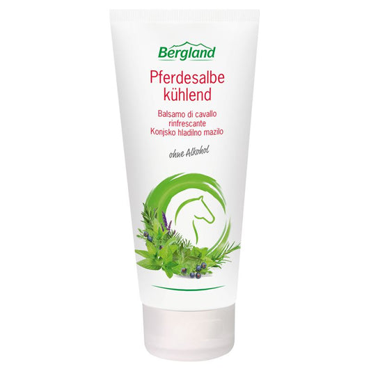 Pferdesalbe kühlend 100 ml