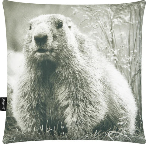 Kissenbezug Mumeltier