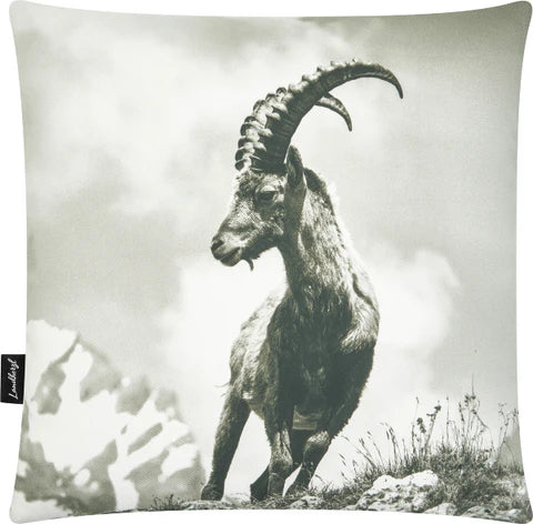Kissenbezug Steinbock